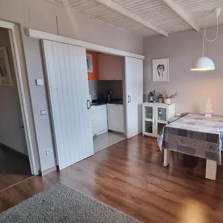 Apartment Sant Francesc Olot