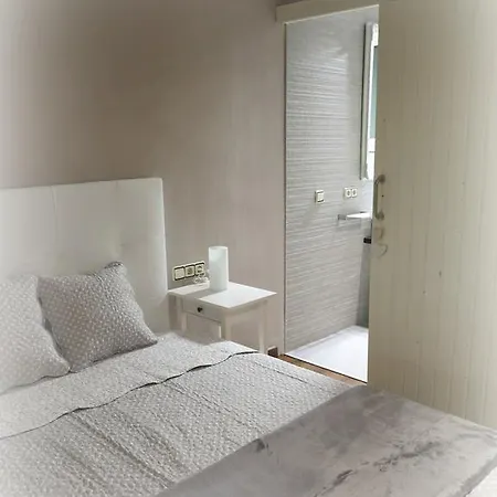 Sant Francesc Apartment Olot