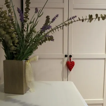 Sant Francesc Apartment *
